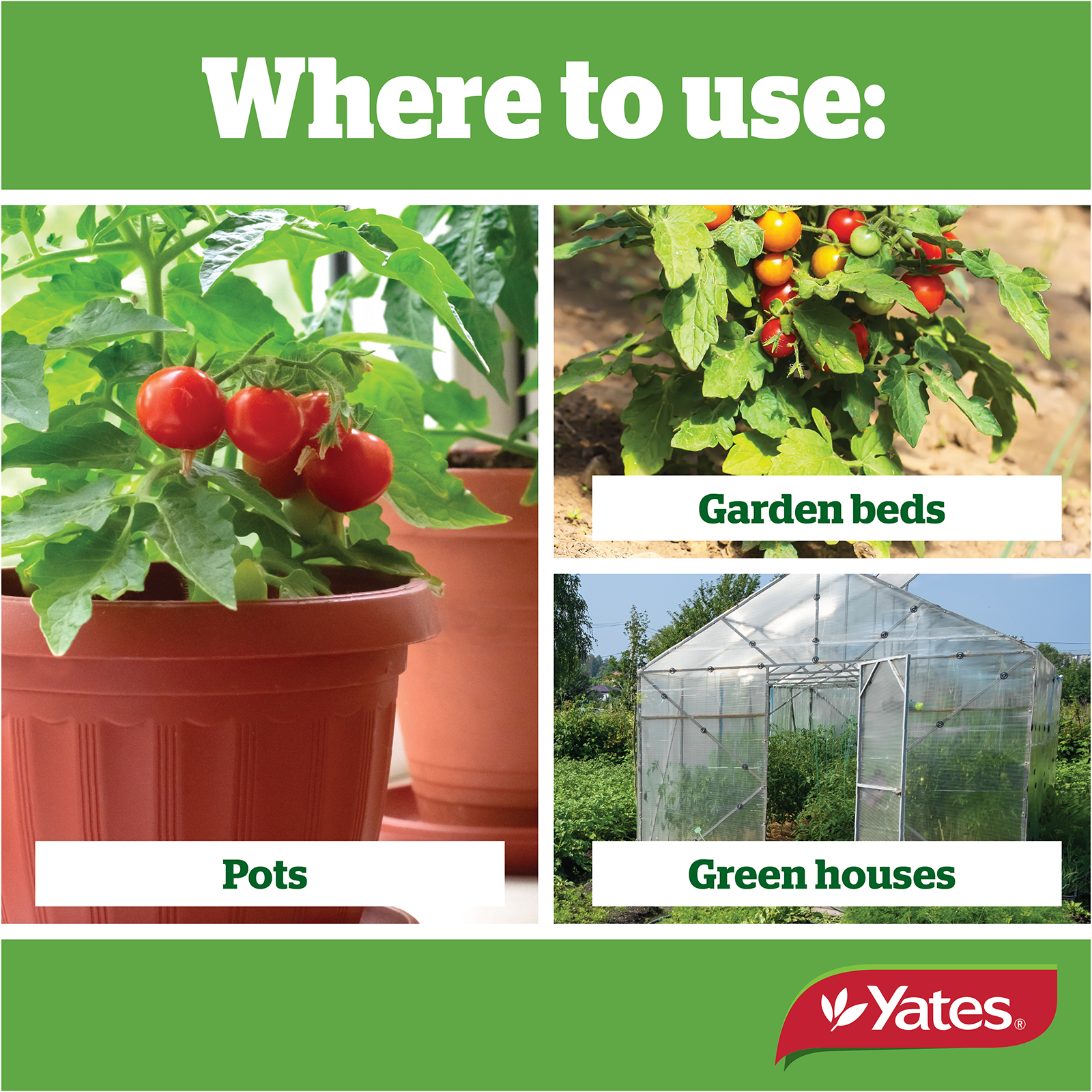 Yates Citrus Tomato V2 02