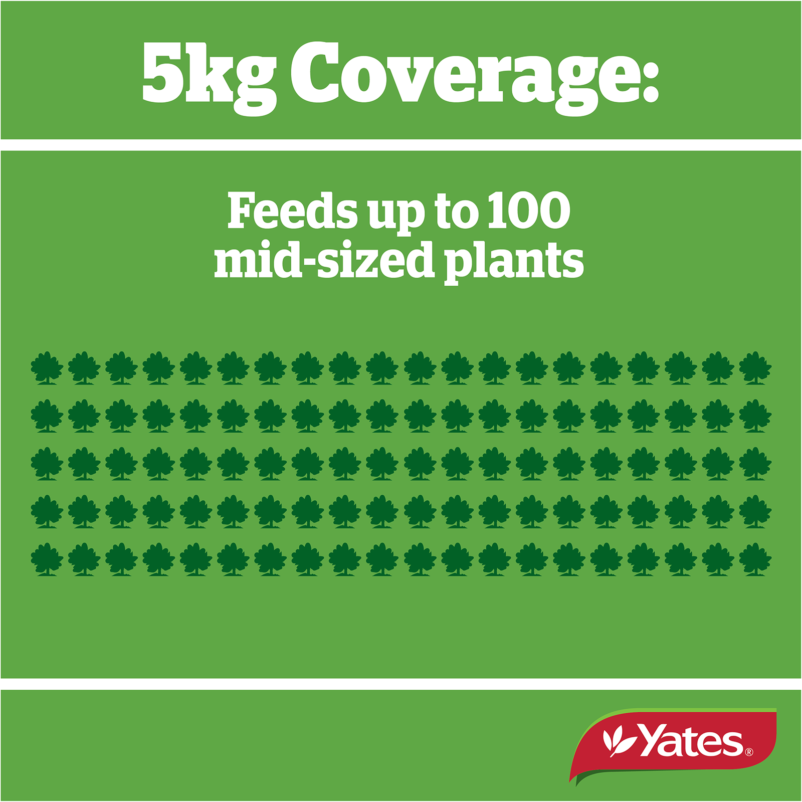 Yates Camelia Granulars V1 02