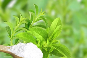 Pr Tn Herb Stevia