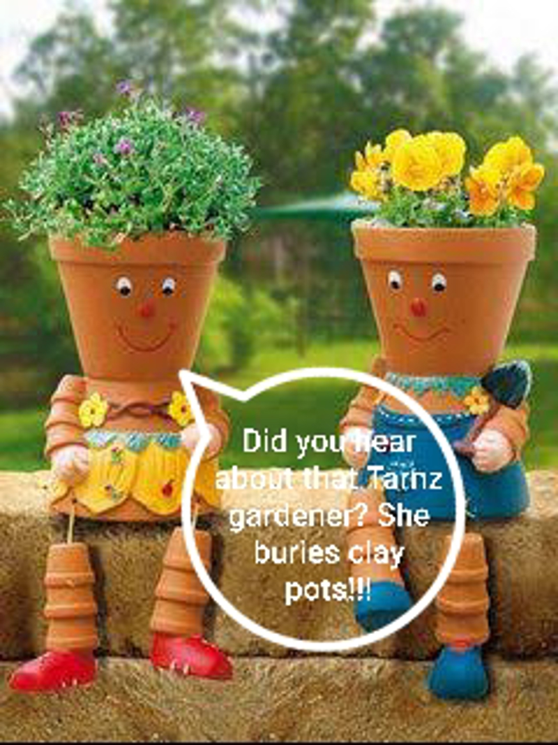 Meet Your Neighbors Nomination