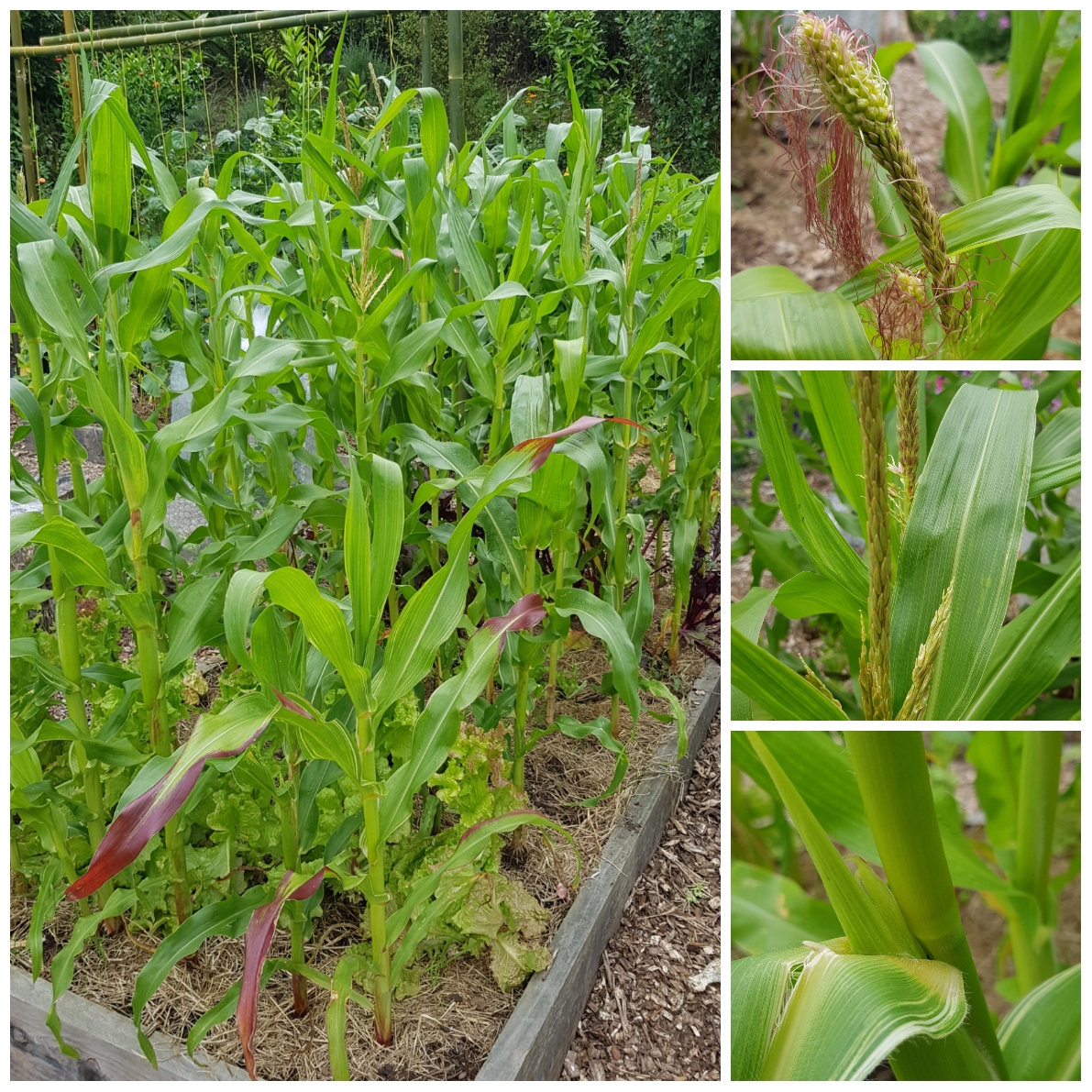 Something Is Not Quite Right