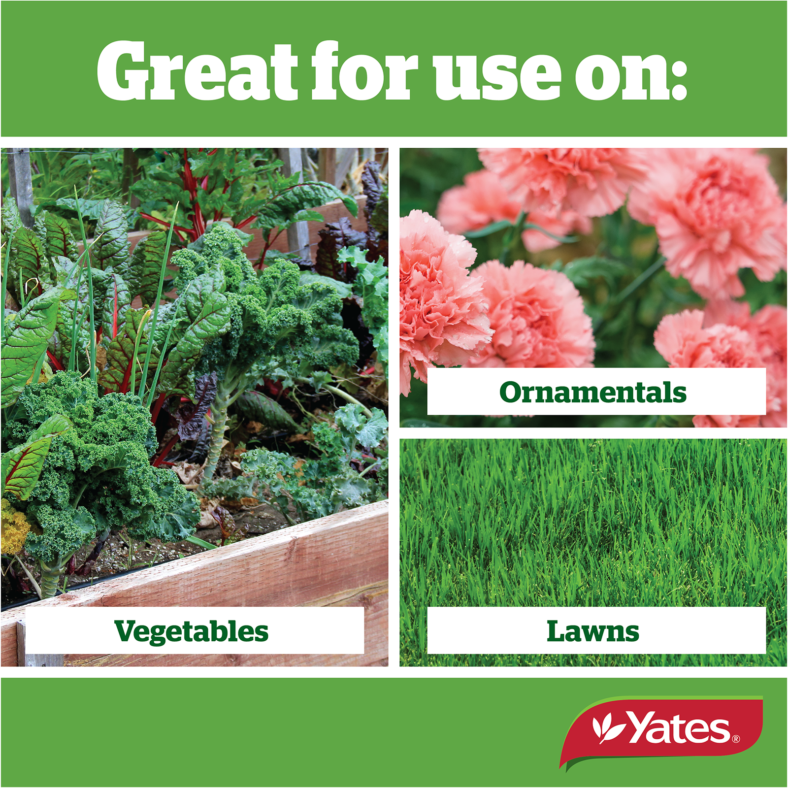 Fish Blood & Bone Fertiliser V1 10