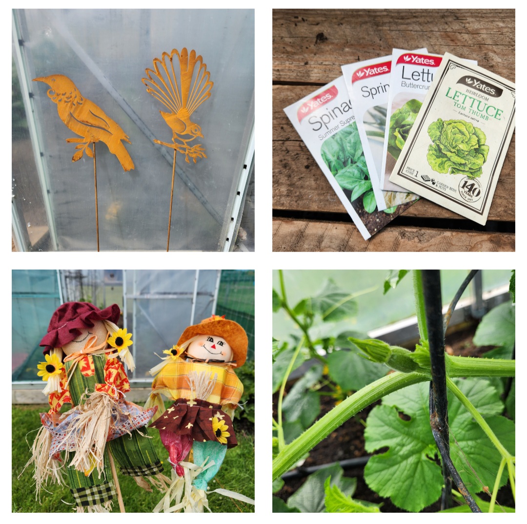 Happy Buys, Sad Eyes