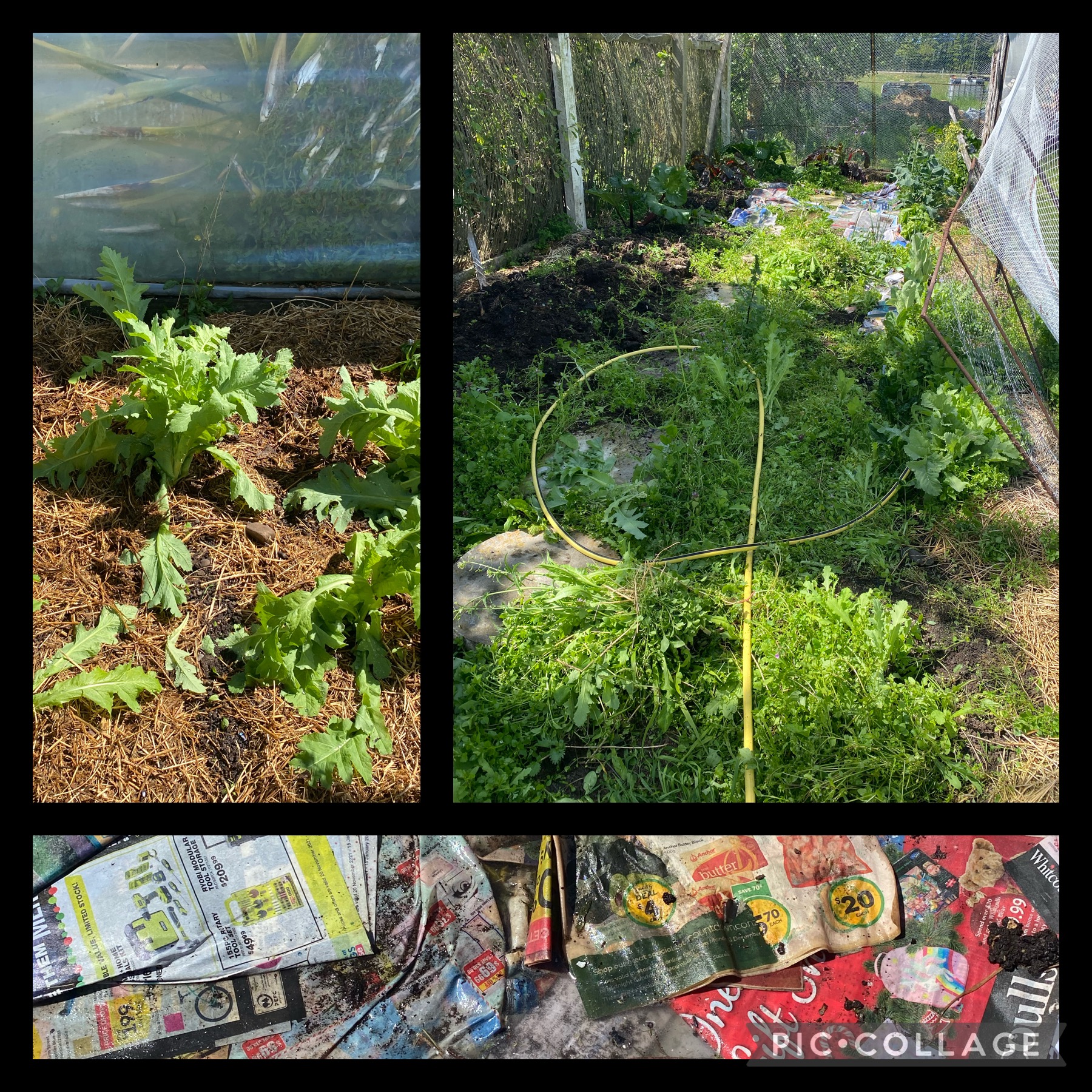 One foot in front of the other 