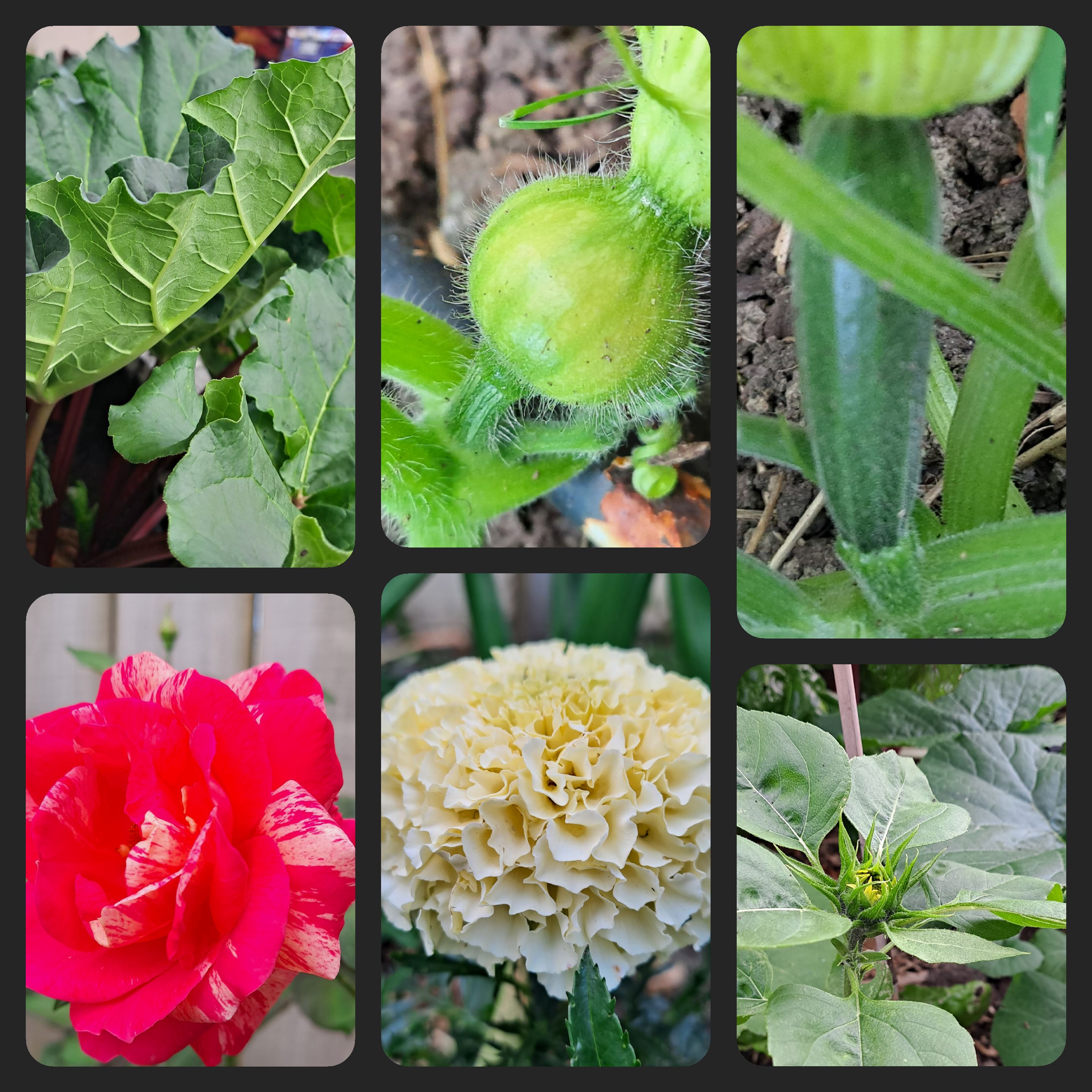 When It All Starts To Come Together