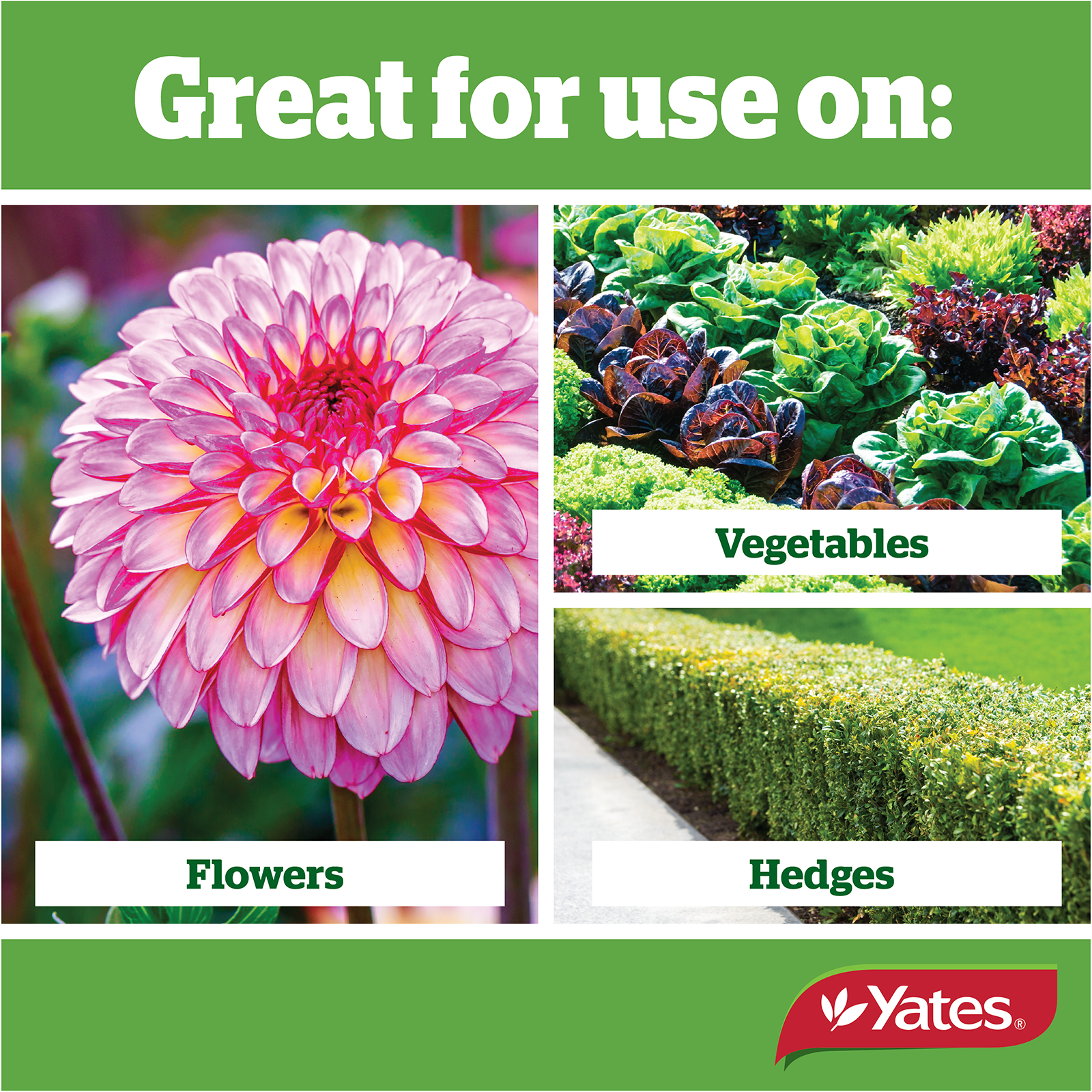 All Purpose 1Kg V1 06