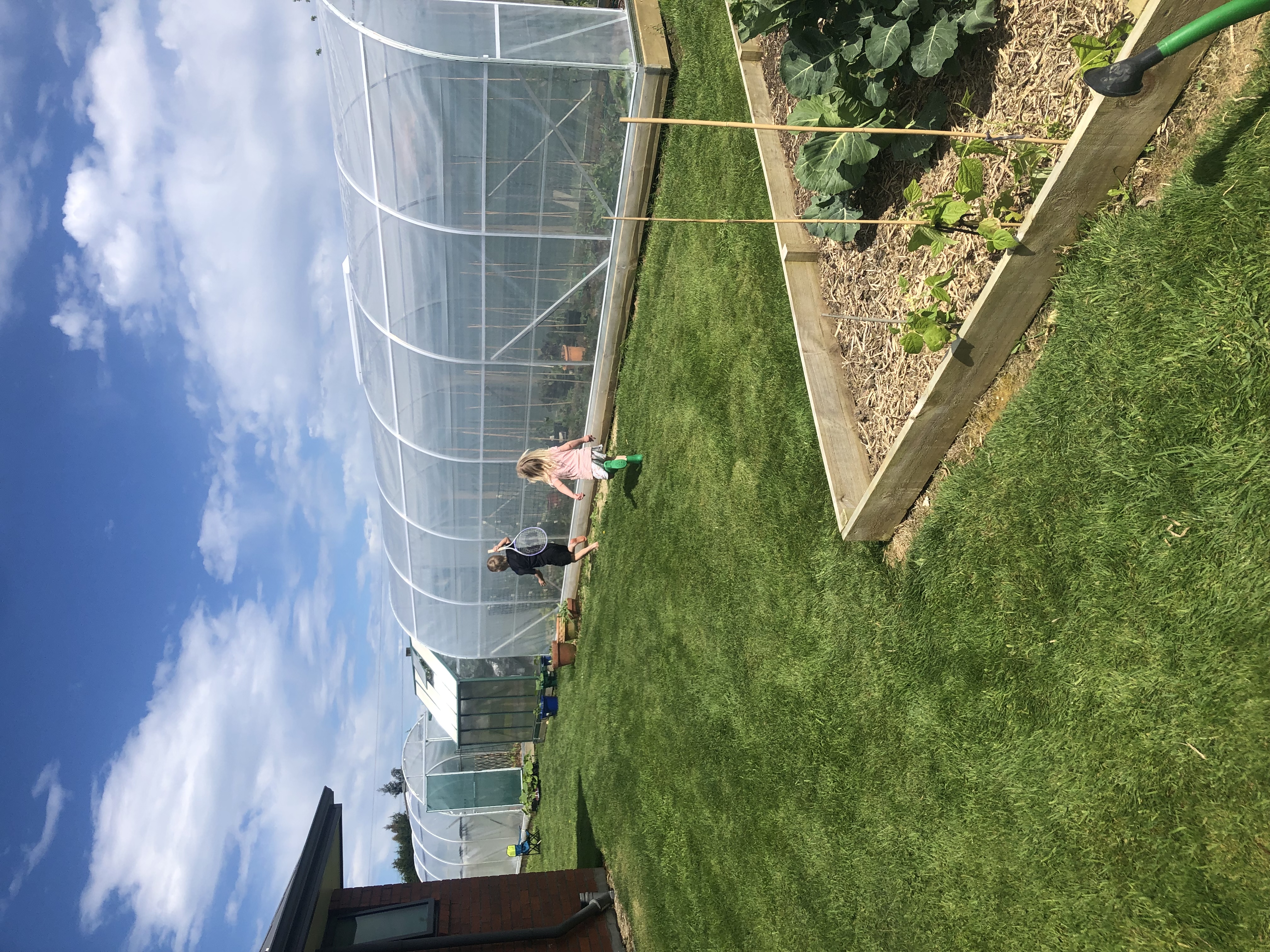 White butterfly catchers