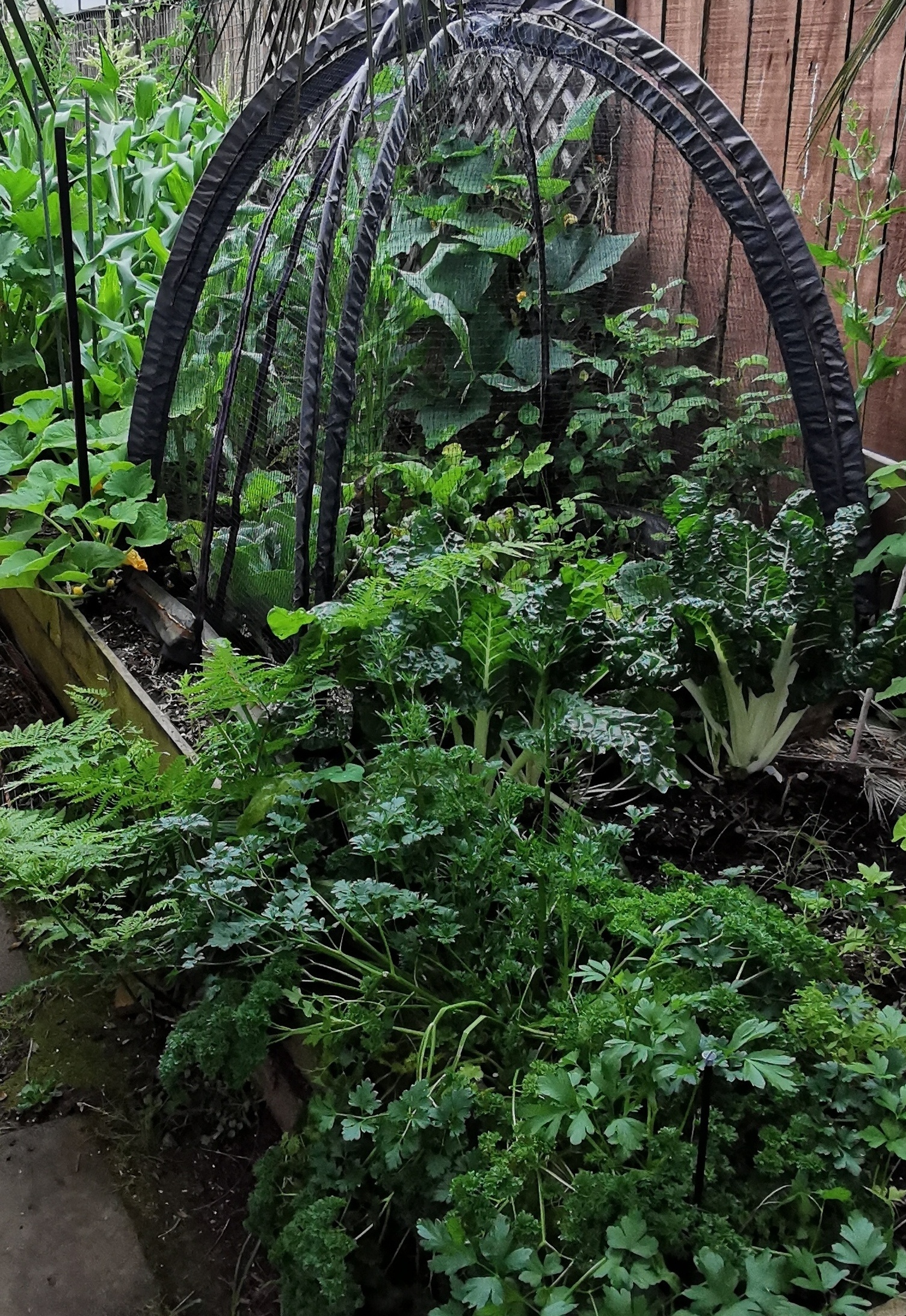  Taking shape... around the corner 3