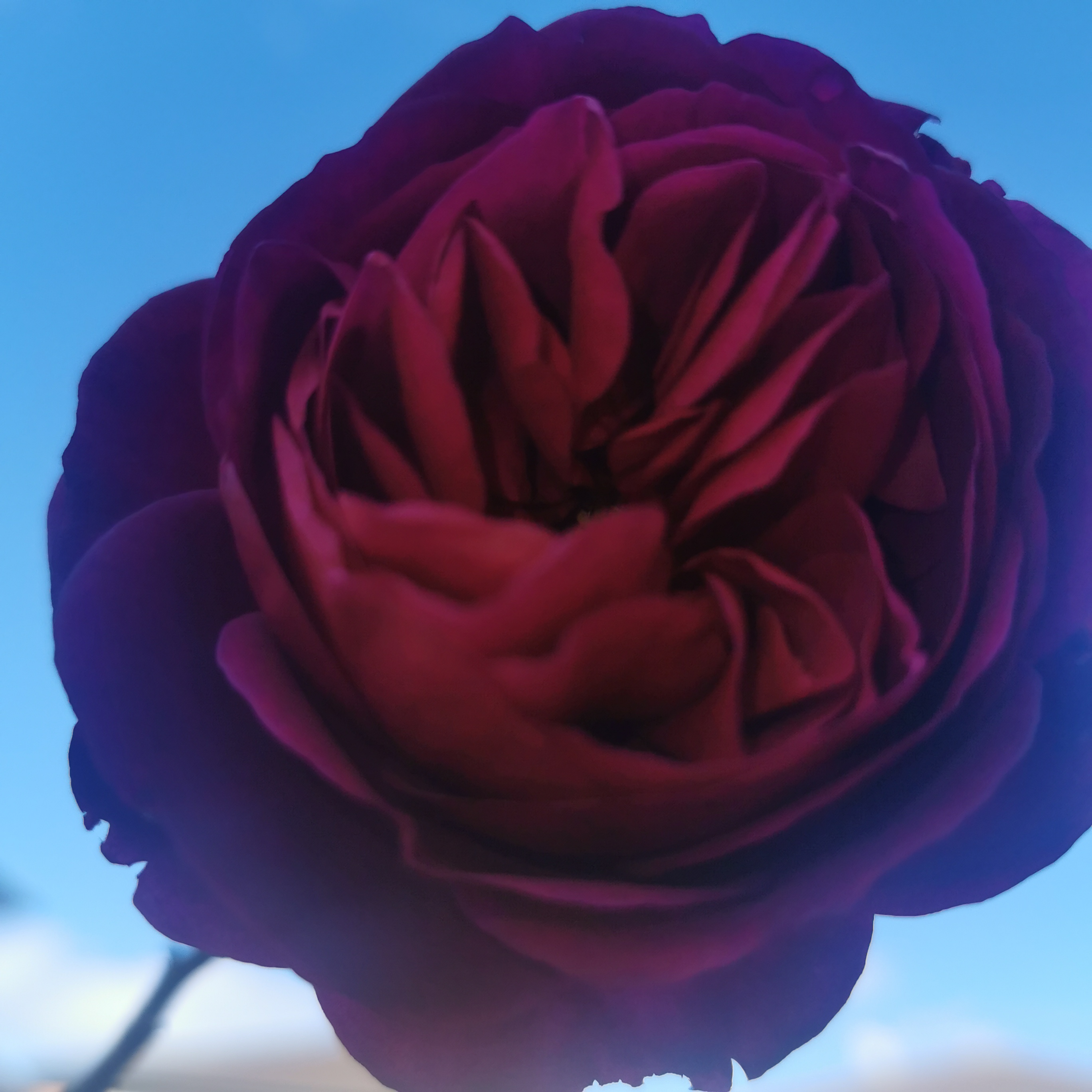 Happy Friday.. Welcome to the weekend. 