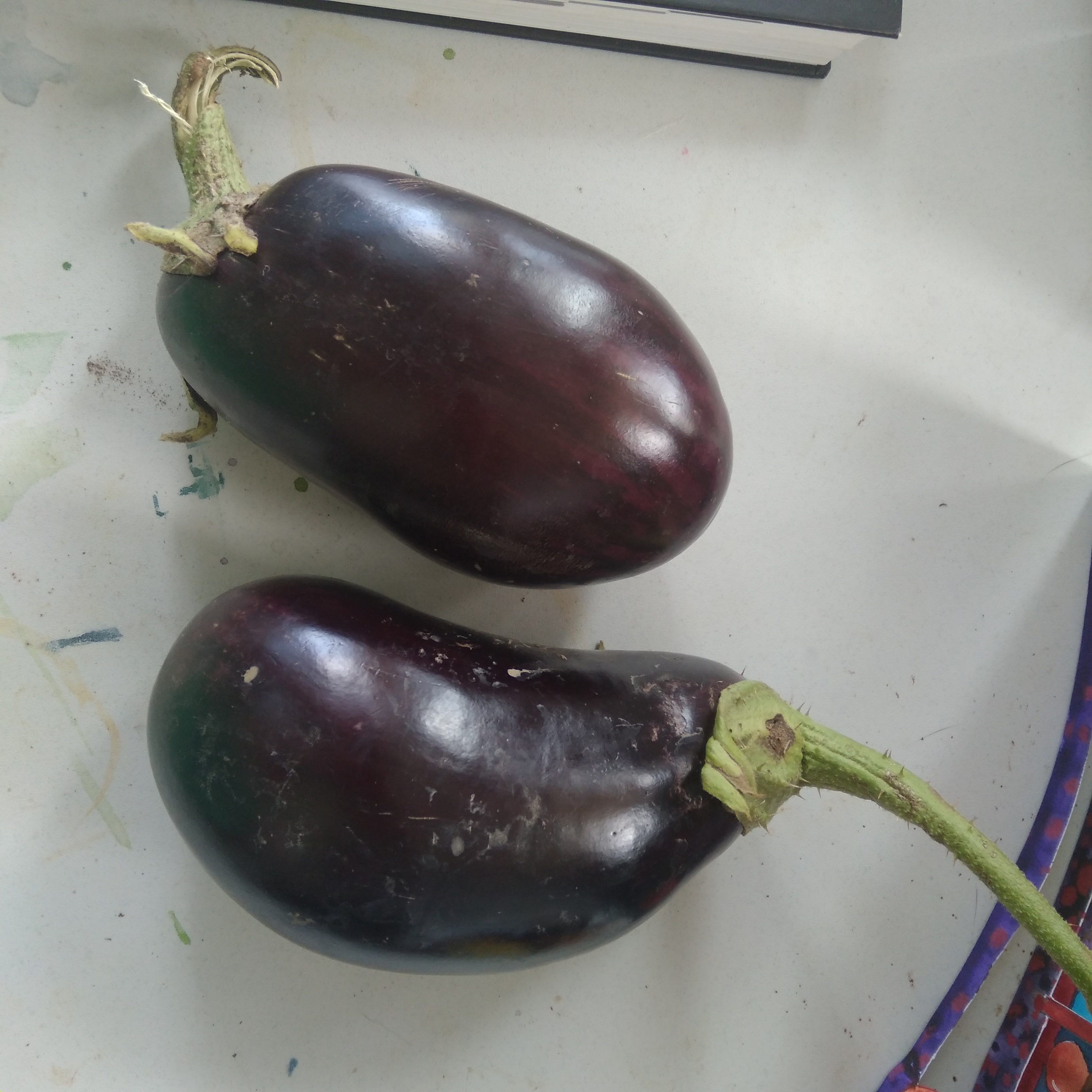 Firstfruits... I feel a bolognaise coming on...