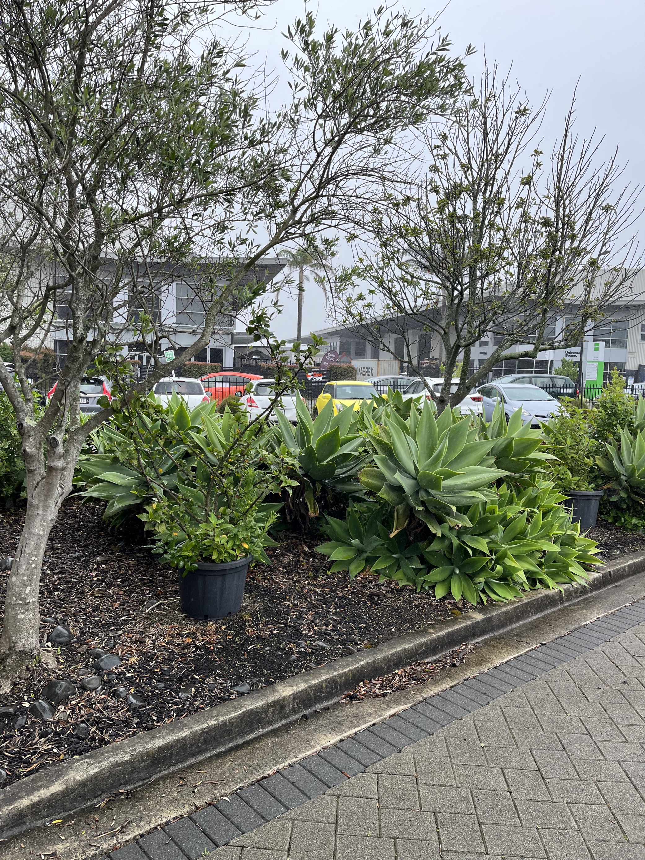 Hi, I'm Kayla from Yates