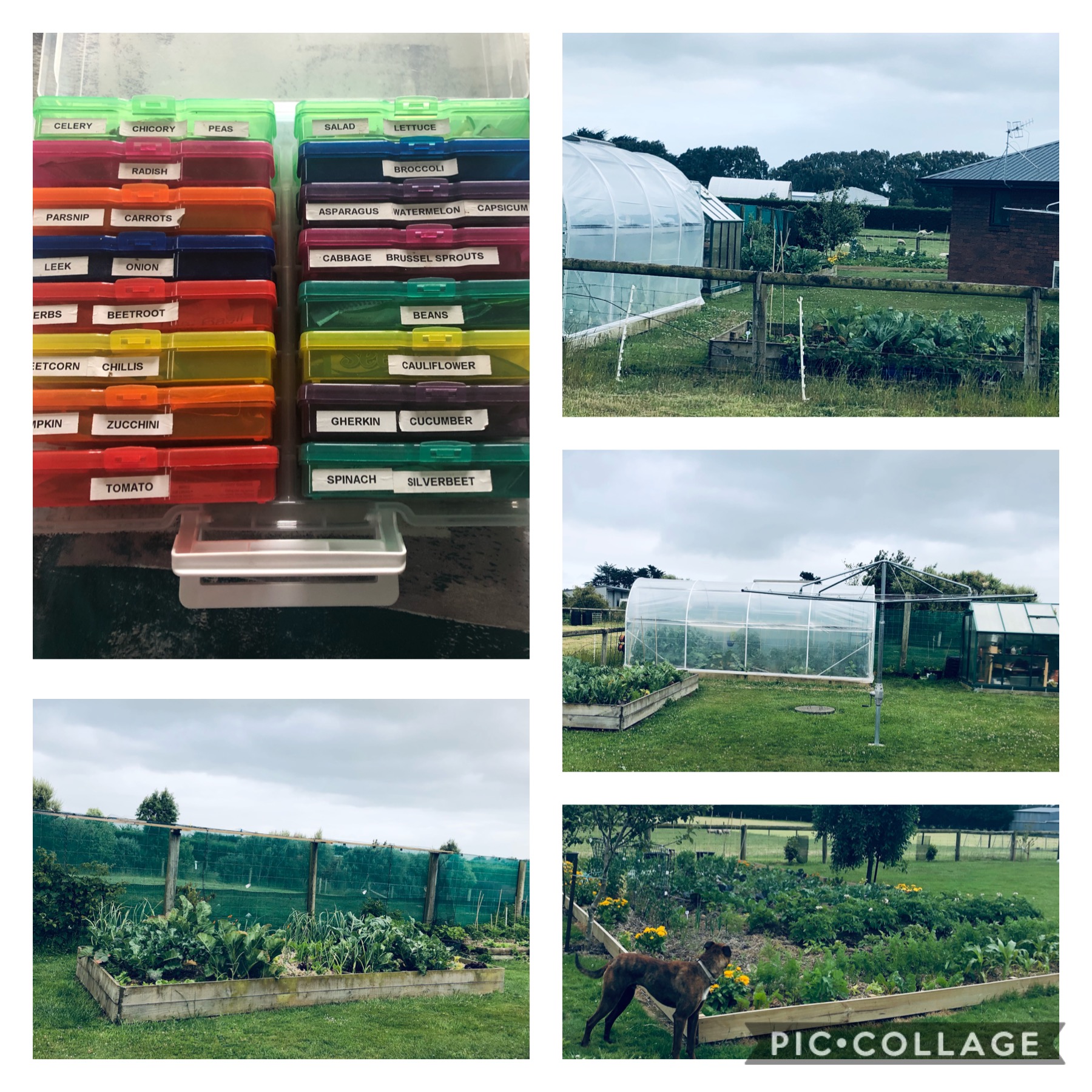 A time to feel thankful 