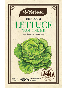 Heirloom Lettuce 'Tom Thumb'