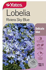 Yates Y35 963 Lobelia Riviera Sky Blue 2021