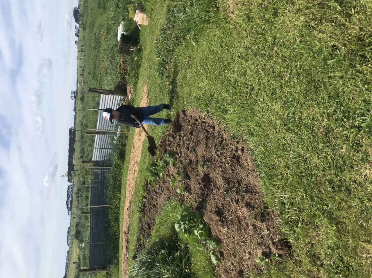 The garden is drifting along without me