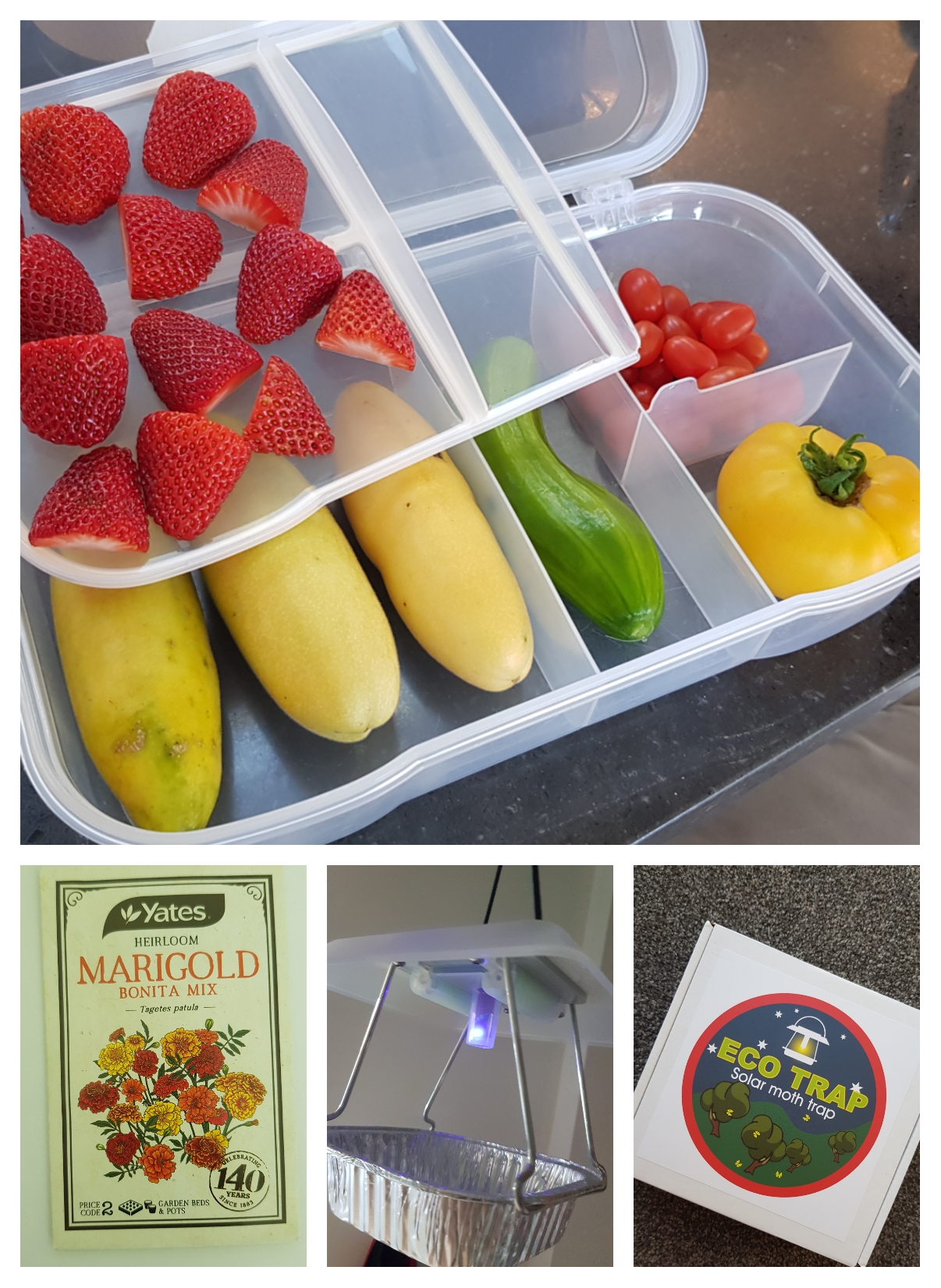 44 Today & Loving It