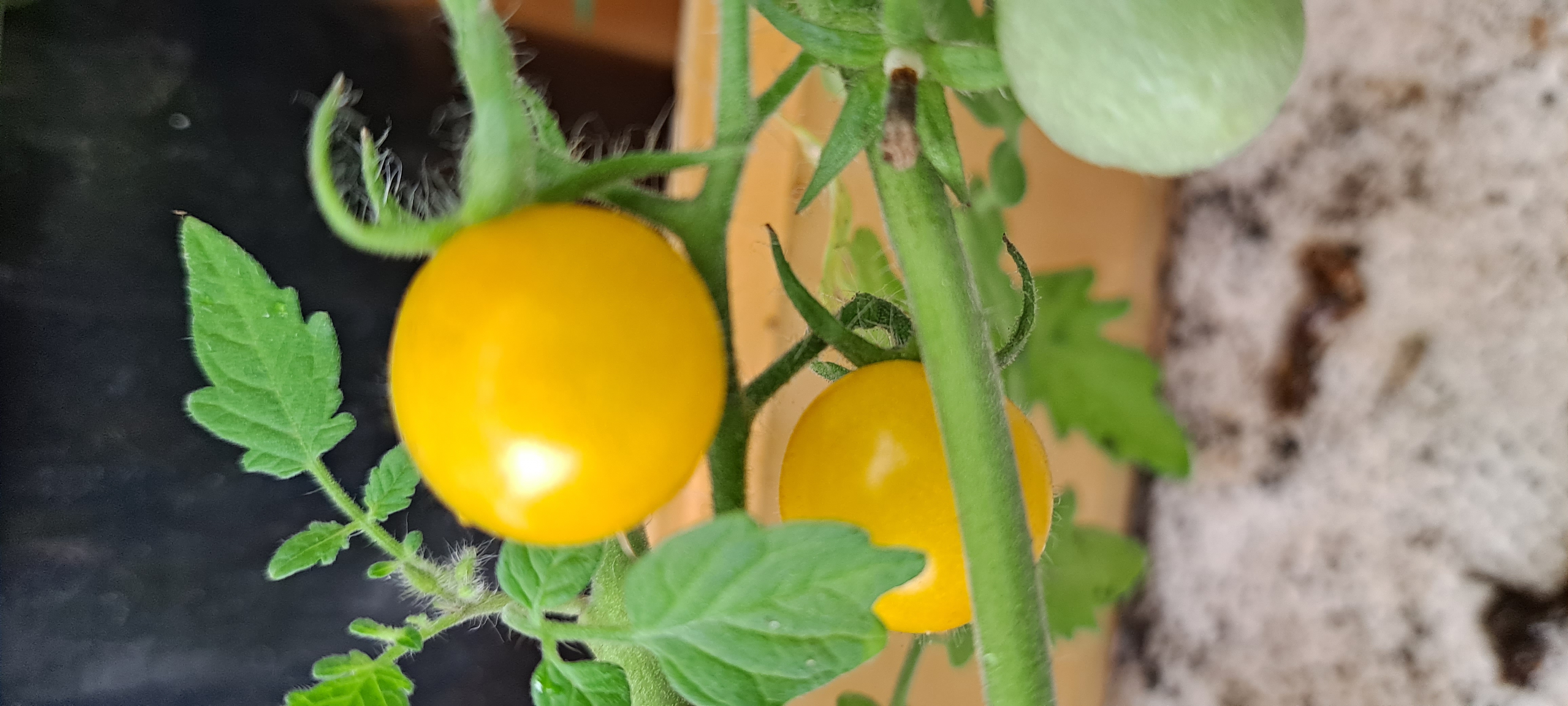 A Good Start to Spring