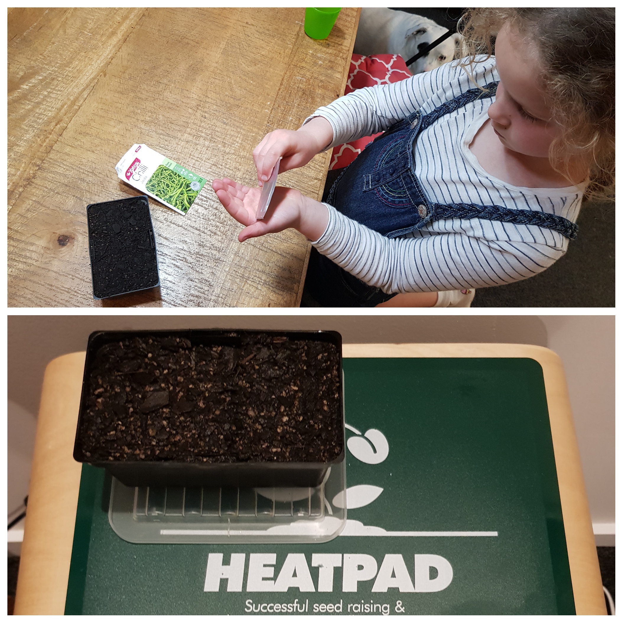 Is heating cheating?