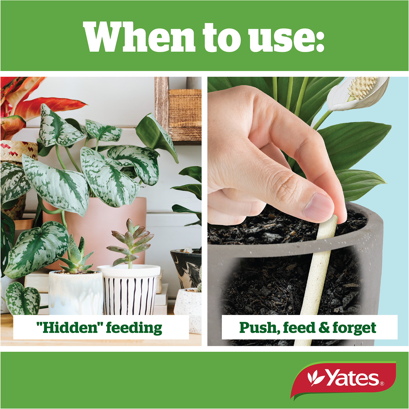 Yates Plant Spikes Indoor V2 04