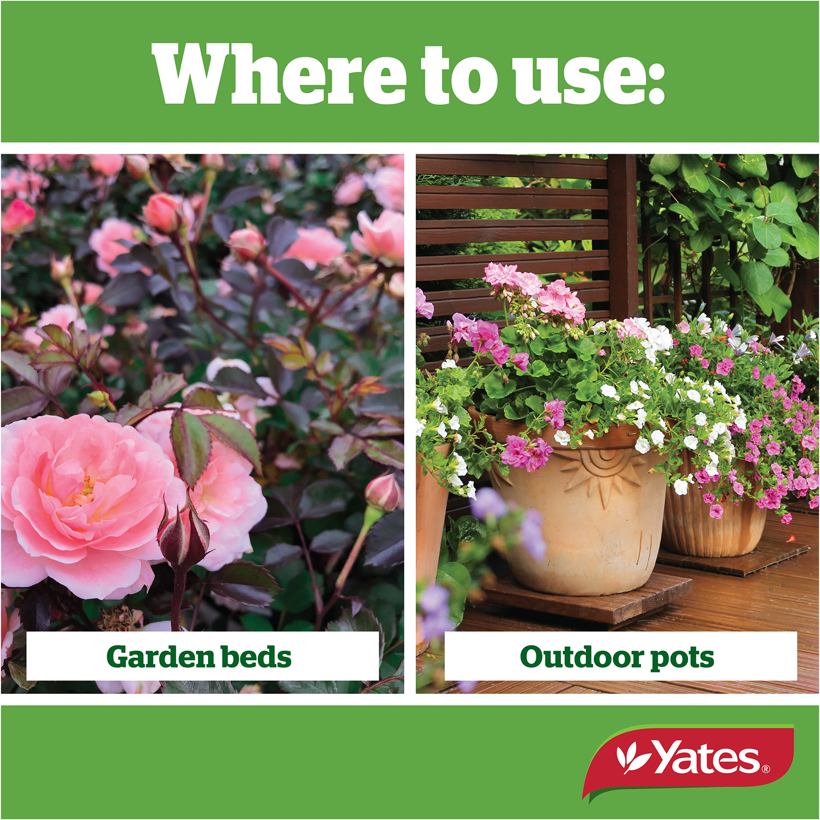 Yates Roses And Flowers Granulars V1 05