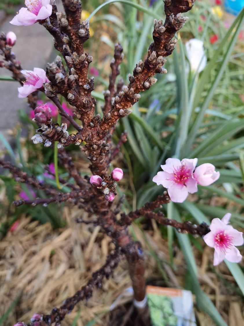 Daylight Savings Has Arrived!